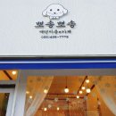 뽀송뽀송 애견미용 이미지
