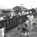 수원-1931 이미지