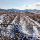 여시농장 이미지