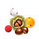 다사 당구클럽 이미지