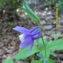 고산골 1 이미지