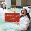 천년보감 이미지