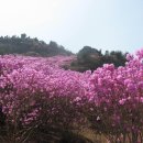 시냇가 과수원