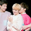 우지 카카오 검색결과