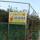 삼봉산음악농원 이미지