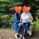 비동스테이민박 이미지