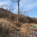 상구농장 티스토리