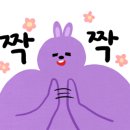 아비드안경 콘택트 이미지