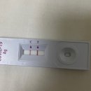코로나 자가진단 키트 음성 후 양성 뜸(코로나 확진자 지원금, 신속항원검사 후기)