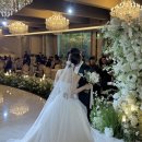Wedding Day 🕊️🤍