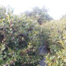 원광1농장 이미지