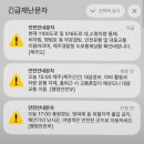 푸라닭제주대점