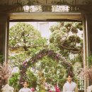 토브헤세드