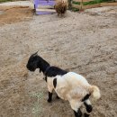 혜성행정사무소 이미지