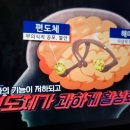 우리원예클리닉 이미지