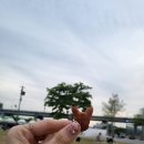 무지개 스낵