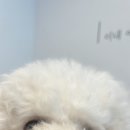 아트메이크유 이미지