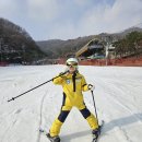 곤지암유아스키강습 잘하는곳 후기