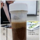 말자커피 Daum카페