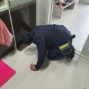 지니방역