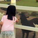 동부목장 이미지