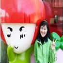 프로방스쌈지 이미지