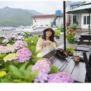 까페비제이