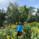 태국골프 그린월드 소식지 이미지