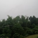 Its 6am here and its raining hard 이미지