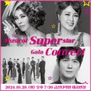 뮤지컬 슈퍼 스타 갈라 콘서트 네이버블로그