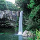 천지연폭포 이미지