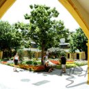 에스빠스 이미지