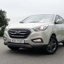 진오토밋숀 이미지