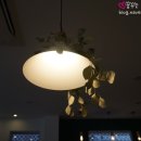 공개정원