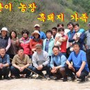덕의농장 티스토리
