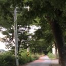 체육공원로 이미지