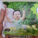 승주유통 이미지