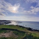 여주-0923 이미지