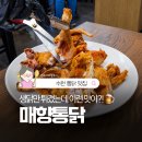 매향길 | 수원 통닭거리 맛집 매향통닭, 곽범 유튜브 보고 충동 방문한 후기