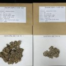 전남과학고등학교 이미지