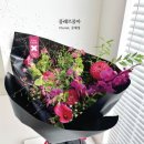 플레르콤마 이미지