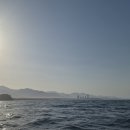 멜버른요트투어