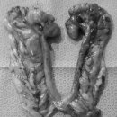 아라종합동물병원 이미지