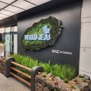 퓨어스테이오션 | 제주 도두이동 펜션 퓨어스테이오션 파노라마뷰 룸에서 4박5일