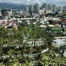 아트숲