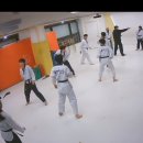 세종의 아침 태권도 이미지