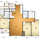 데시앙포레 이미지