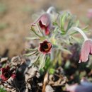 생선장수 이미지