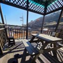 펜션161 | 사람도 강아지도 편히 쉬어가는 통영 애견 펜션, 라라애견펜션 후기