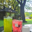 멍멍이와 숲속에서 이미지